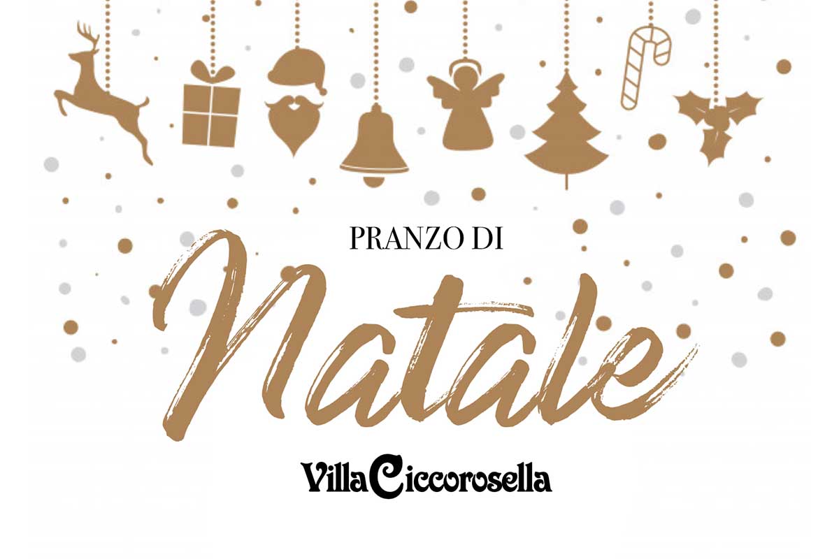 Il Pranzo Di Natale 2020.Pranzo Di Natale 2019 A Villa Ciccorosella Villa Ciccorosella